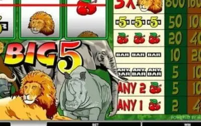 Big 5 Slot Review – Spin, Win, and Feel the Safari Rush